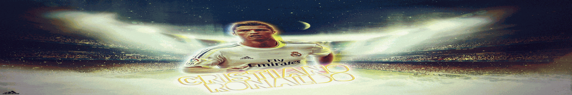 banner0